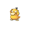 favorite pokemon - Psyduck
