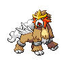 favorite pokemon - № 244