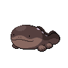 favorite pokemon - № 980